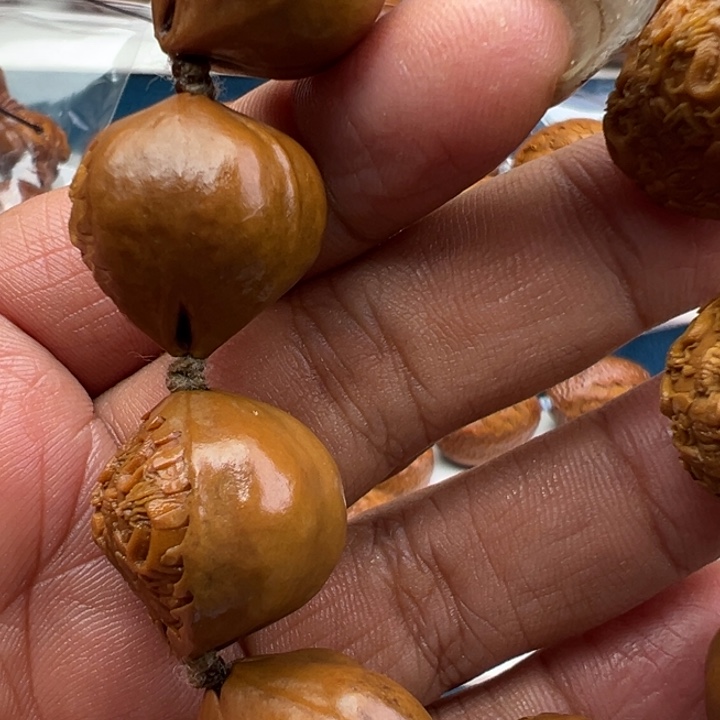 橄榄核手串/手链2.1