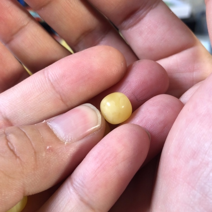 蜜蜡珠宝奇石未镶嵌