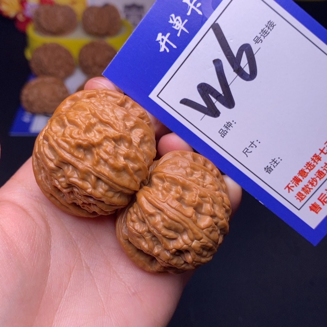 W6链接 白狮子41尺 0000