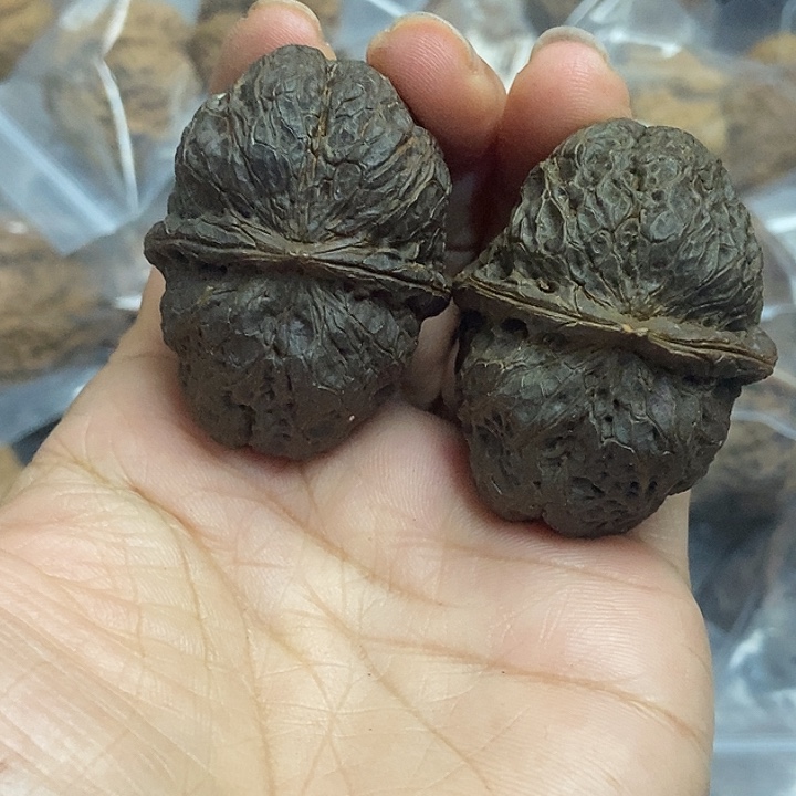文玩核桃把件云南铁核桃基地11