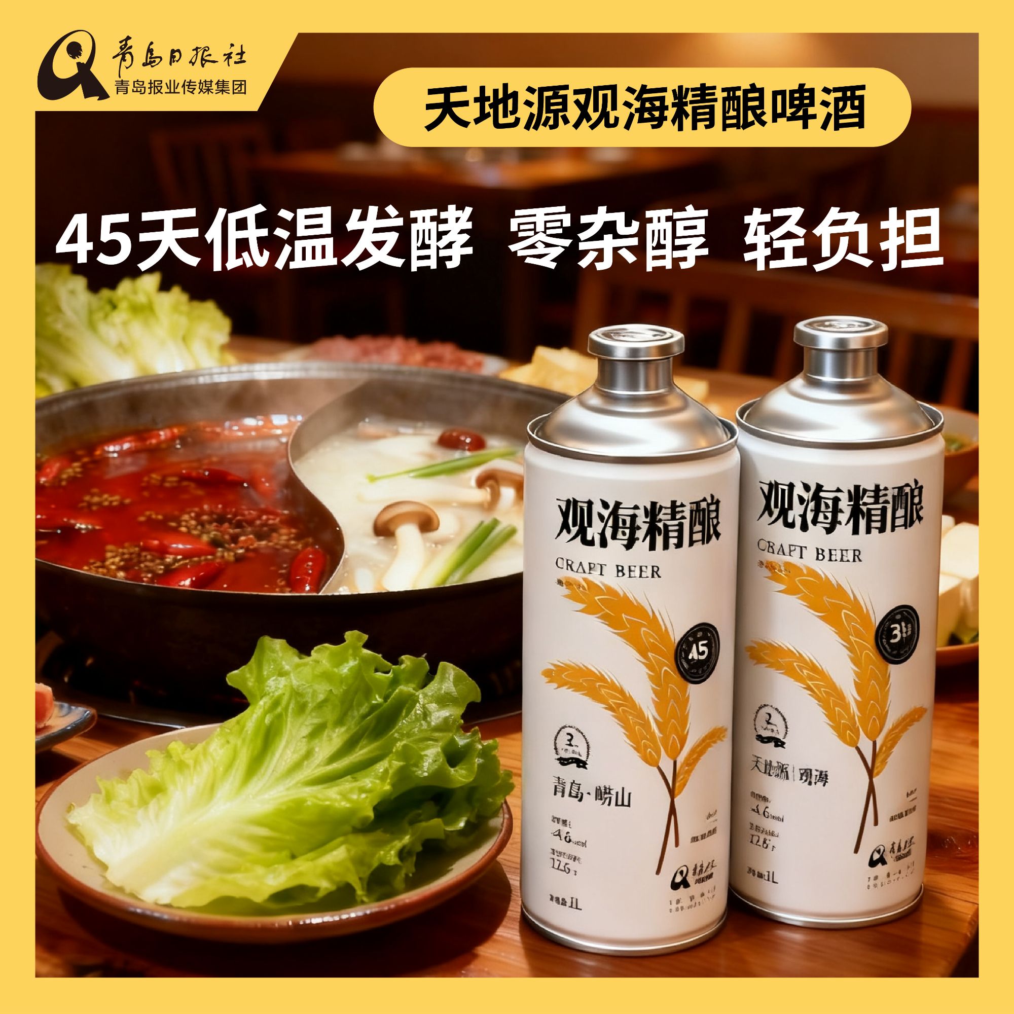 天地源观海青岛人都爱喝的精酿啤酒一箱4瓶