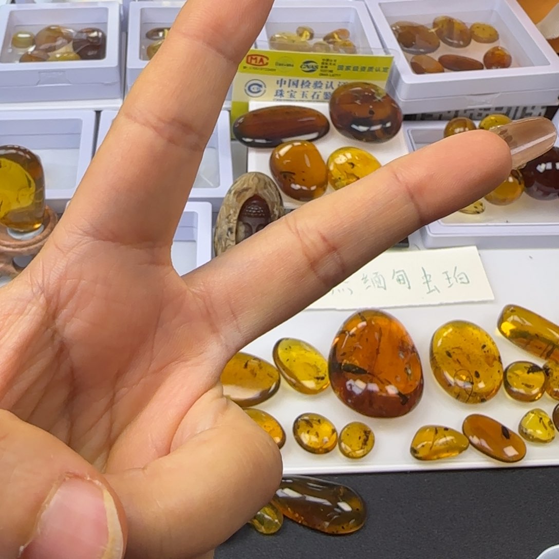 琥珀裸石未镶嵌兜
