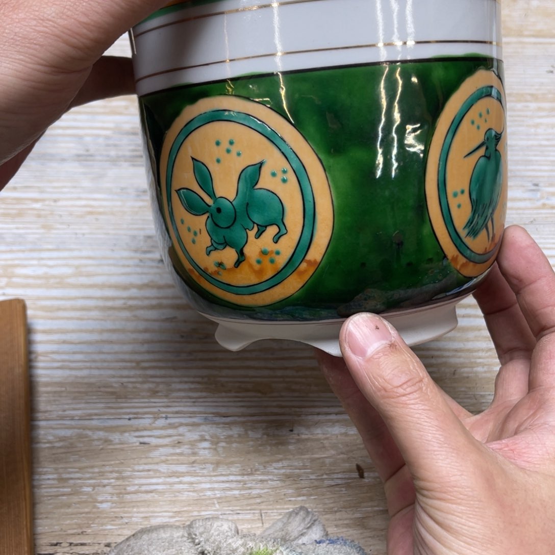 瓷片C**o密密麻麻地排列着