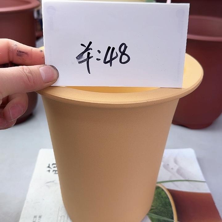 紫砂223222222222222