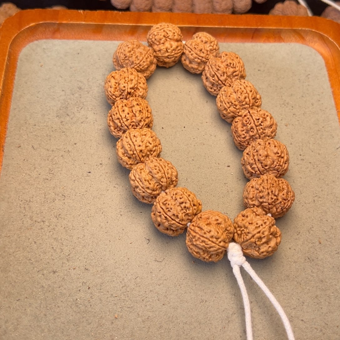 菩提10号金刚菩提双龙梅花22