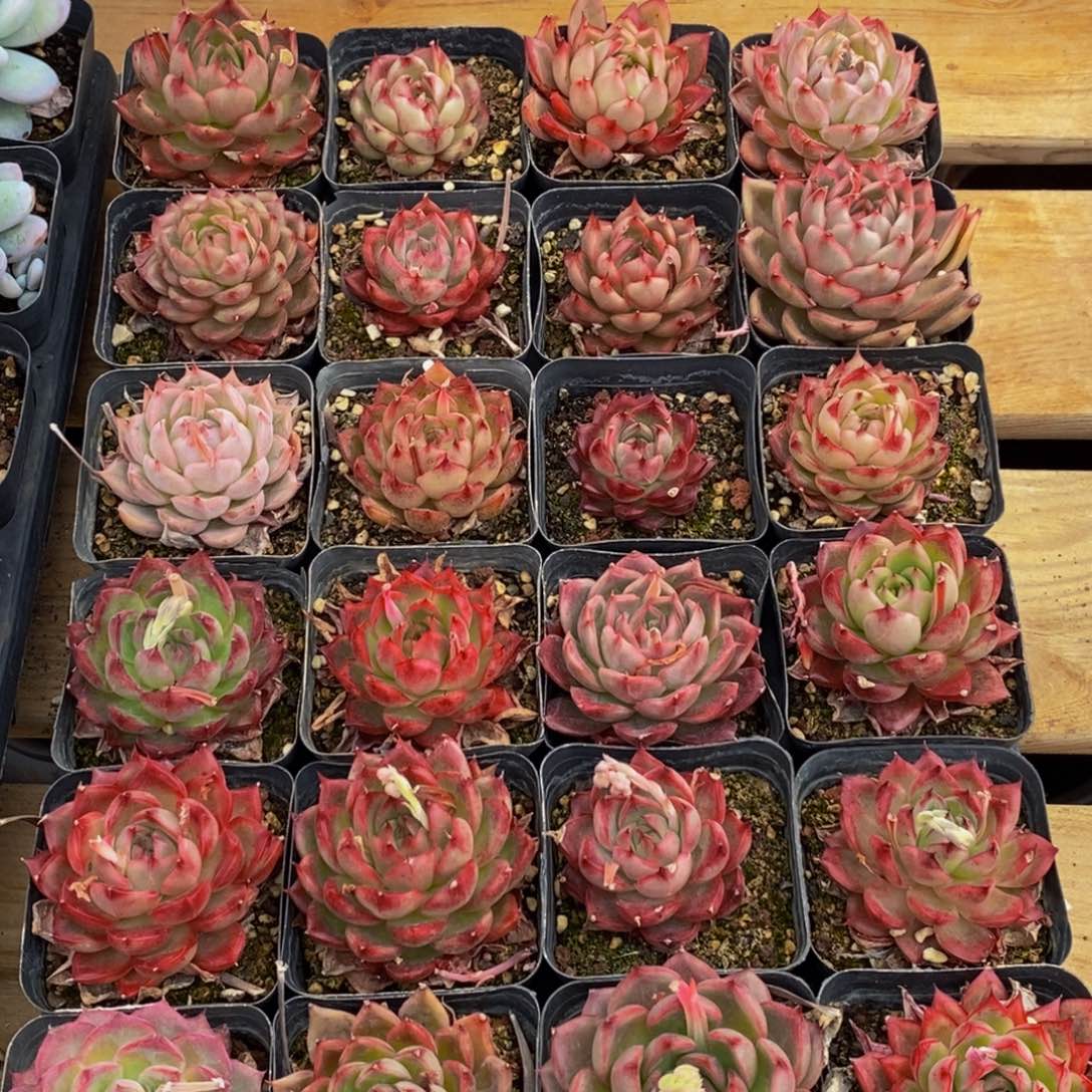 872的人生态度是一种态度