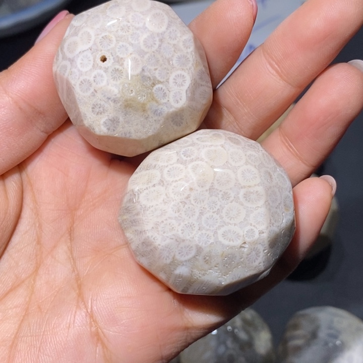 【闪购商品】未镶嵌珊瑚玉硅化玉