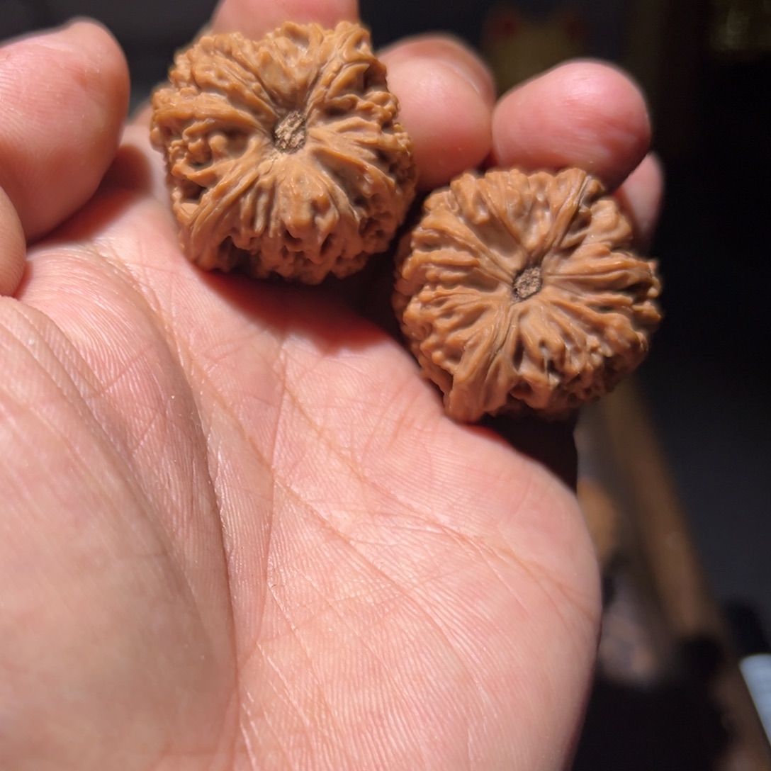 瑞麟文玩核桃南疆石手捻丑疆