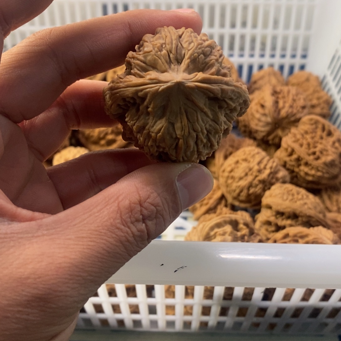 南***湖文玩核桃吊坠南疆