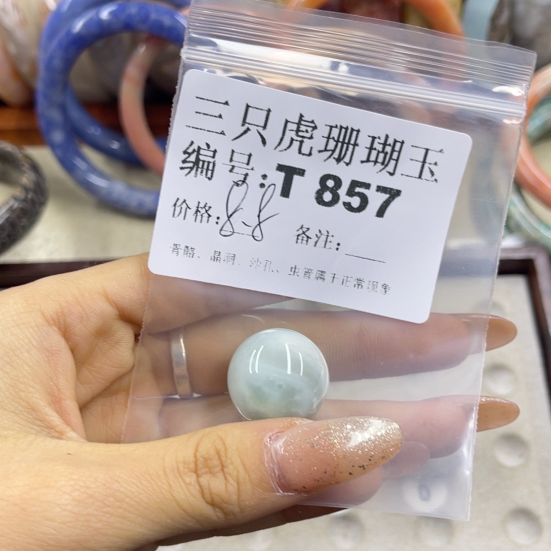 一***聚硅化珊瑚（珊瑚玉）未镶嵌h