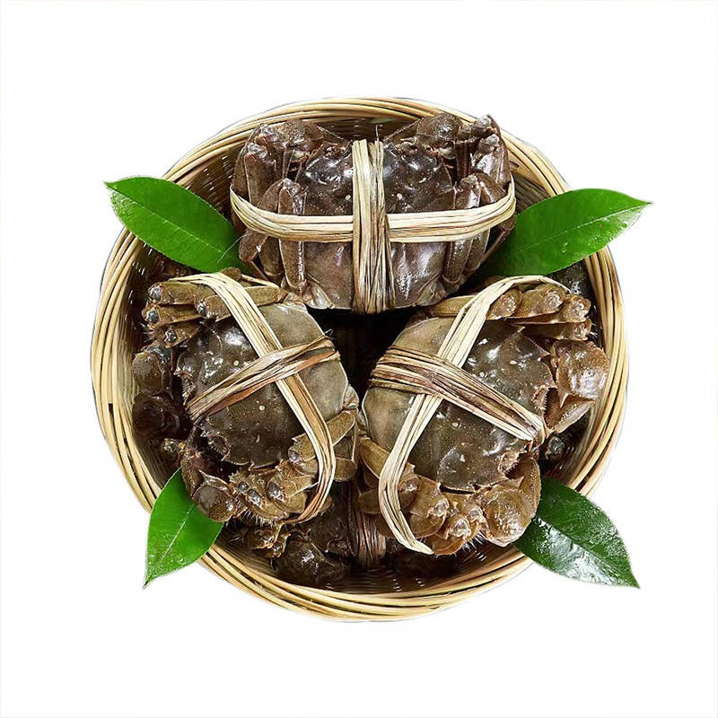  【六月黄】螃蟹 1.8-2.2两 900g左右次日达鲜活发货 顺丰大闸蟹蟹同城送