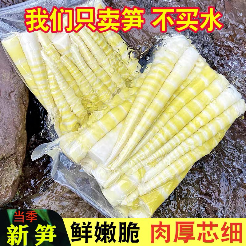 南宝山熊猫笋冷竹笋新鲜嫩笋尖清水竹笋火锅食材美味鲜嫩脆笋