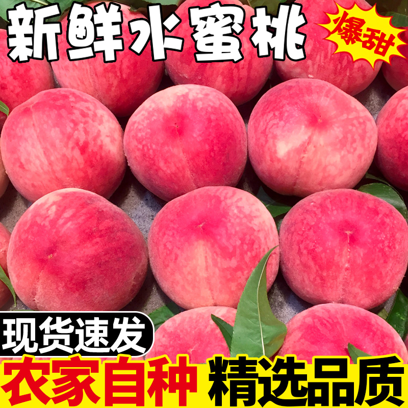超大桃子新鲜水蜜桃当季脆甜超大毛桃5斤整箱孕妇维生素C爆甜小丹