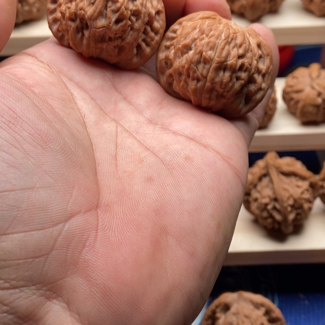 福***余木质类磨盘狮子头