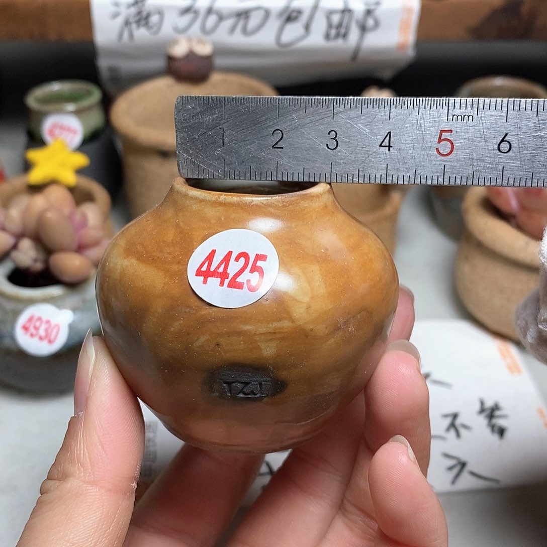 红陶拍5送一个小