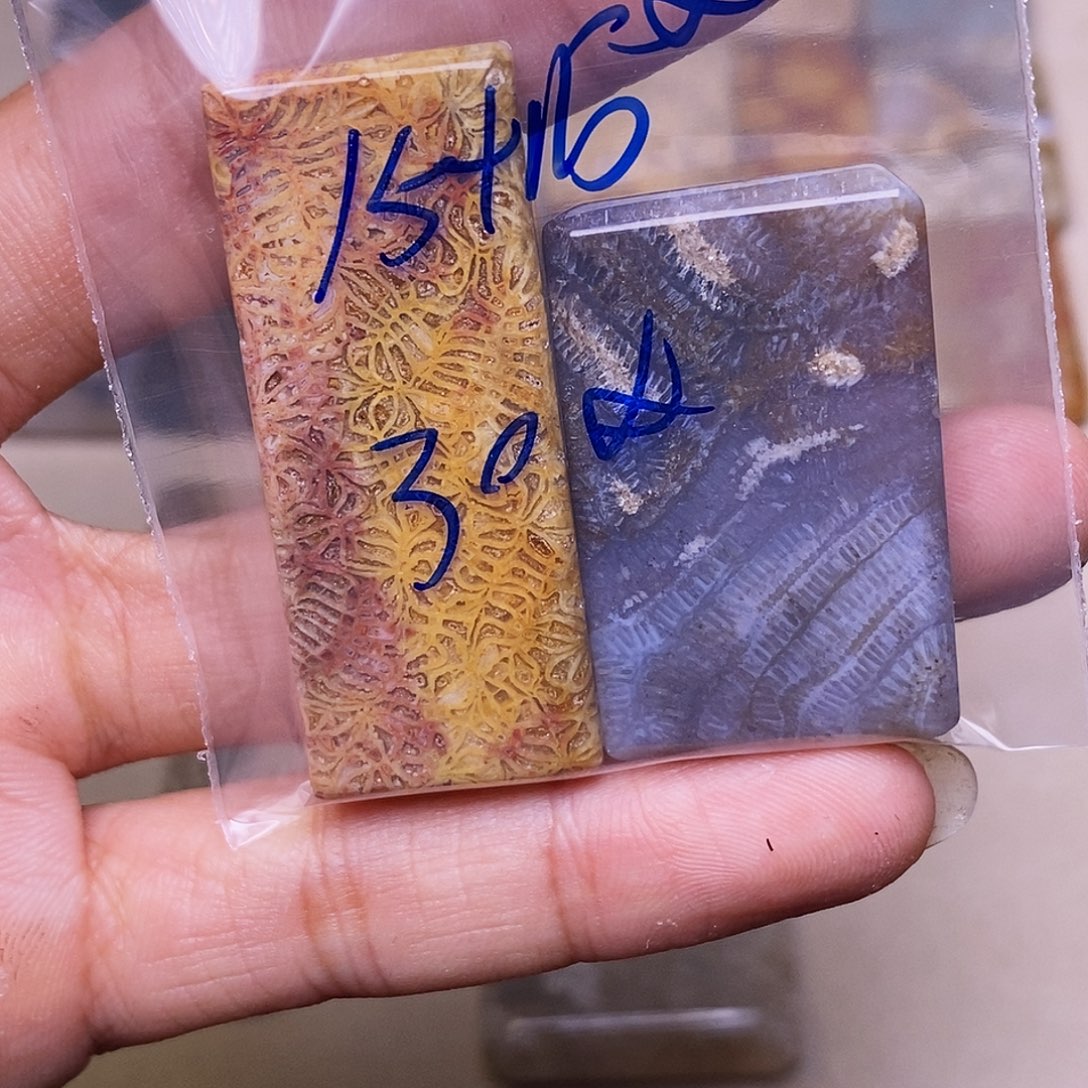 嘻***赟硅化玉合金珊瑚玉