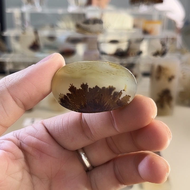 玛瑙/玉髓吊坠(不含链)未镶嵌