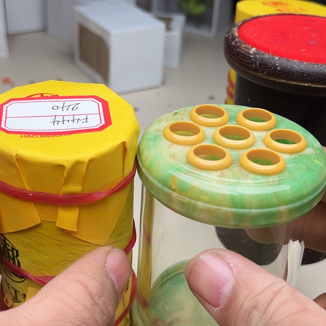 蟋蟀郝建伟蝈蝈加鸣韵65罐子