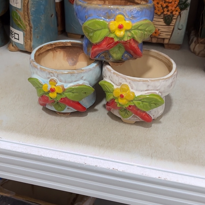 粗陶材质多肉花盆