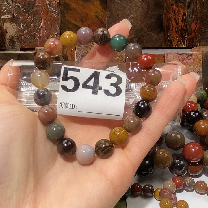 硅化玉未镶嵌天然北票树化玉手串10.7