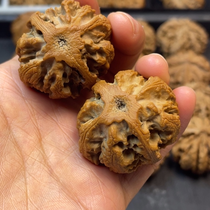 文玩核桃吊坠突突突突突突突
