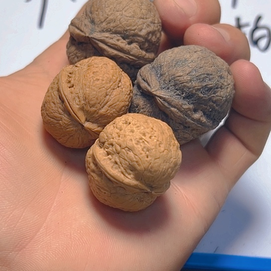 文玩核桃把件31号卡36的30亲子对