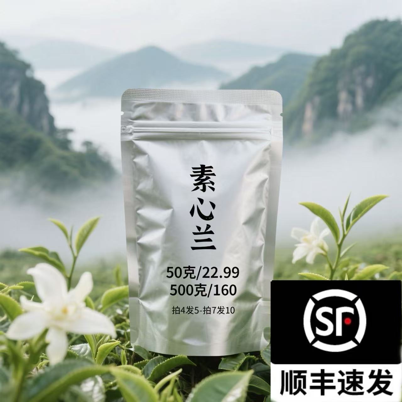 高山新茶-素心兰（中轻火）-清甜兰韵-留香持久-武夷岩茶乌龙茶