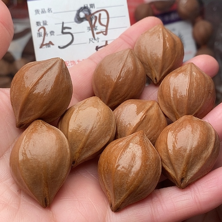 手串/手链橄榄核用****5