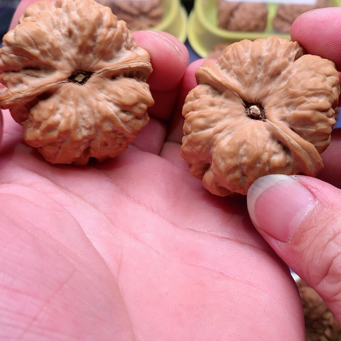 文玩核桃把件不****丶蛤蟆