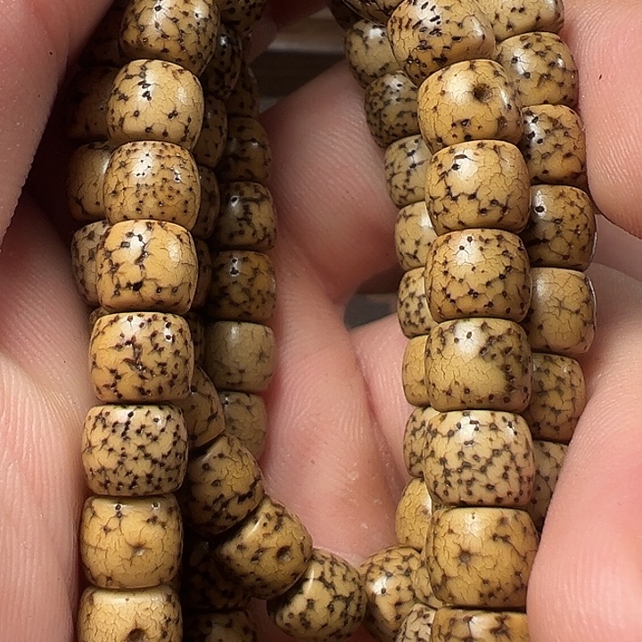 我们都是在这里看到的哈