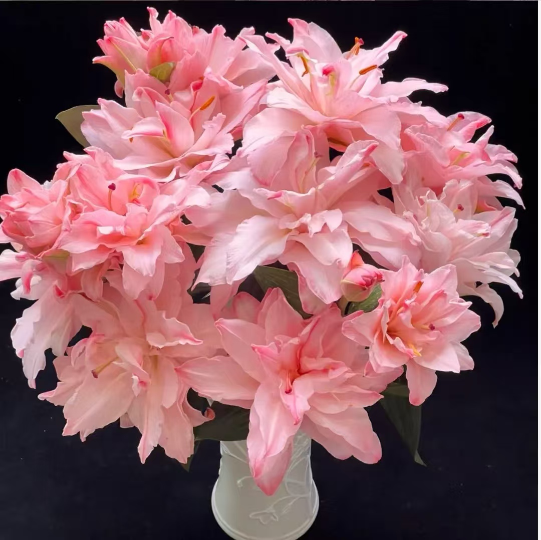 【布朗尼】重瓣百合#橘子柠檬清香#一单普运两单顺丰