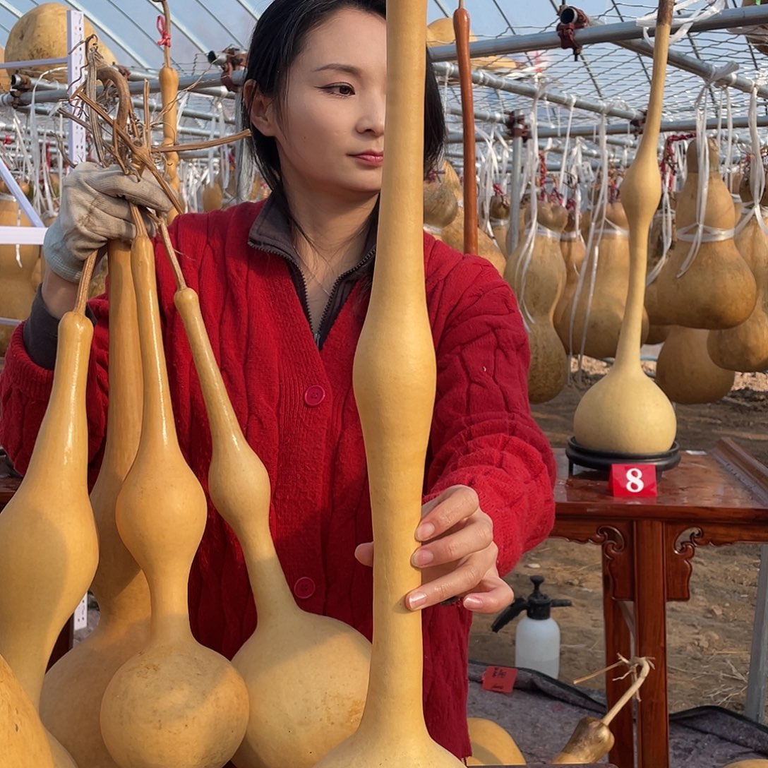 亿***/木大葫芦不包邮大葫芦