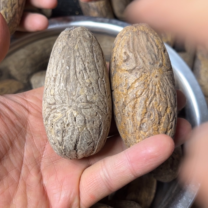 千眼菩提吊坠千眼菩提第47