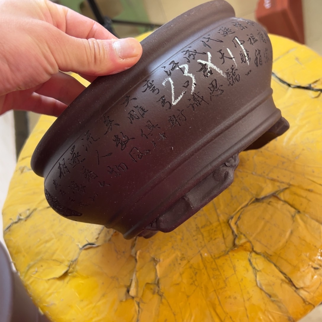 紫砂花盆呜呜呜呜呜