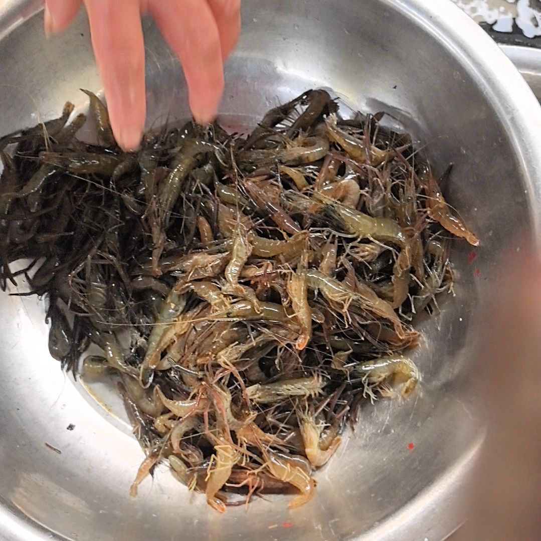 石台小李代购河虾呆子