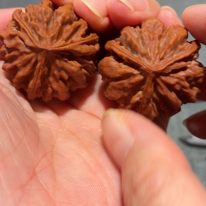 红*文玩核桃，野生三棱，尺寸36