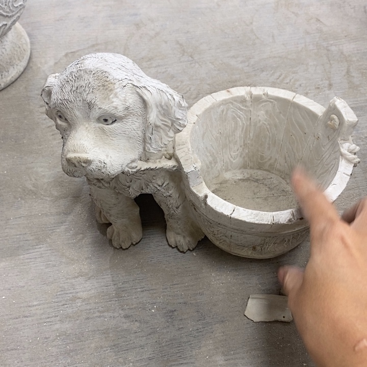 花盆6495959952692929599