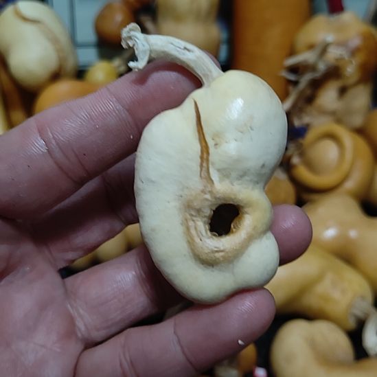 清***士回来哈哈哈哈哈哈哈哈