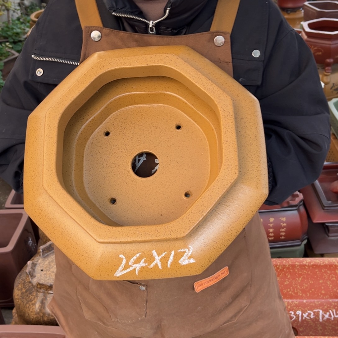 花盆紫砂盆景艺术