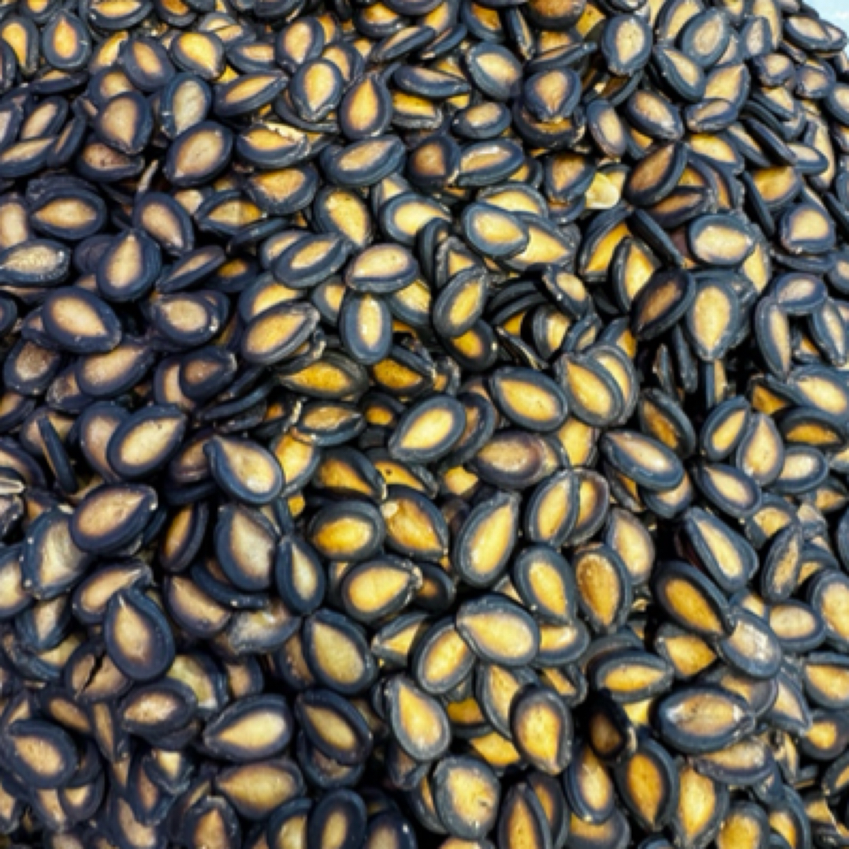 金太阳黑瓜子仁满解馋小零食美食