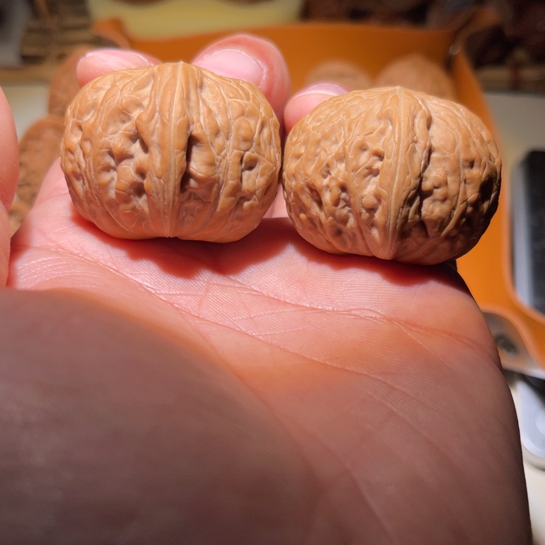 把件文玩核桃37元宝锤