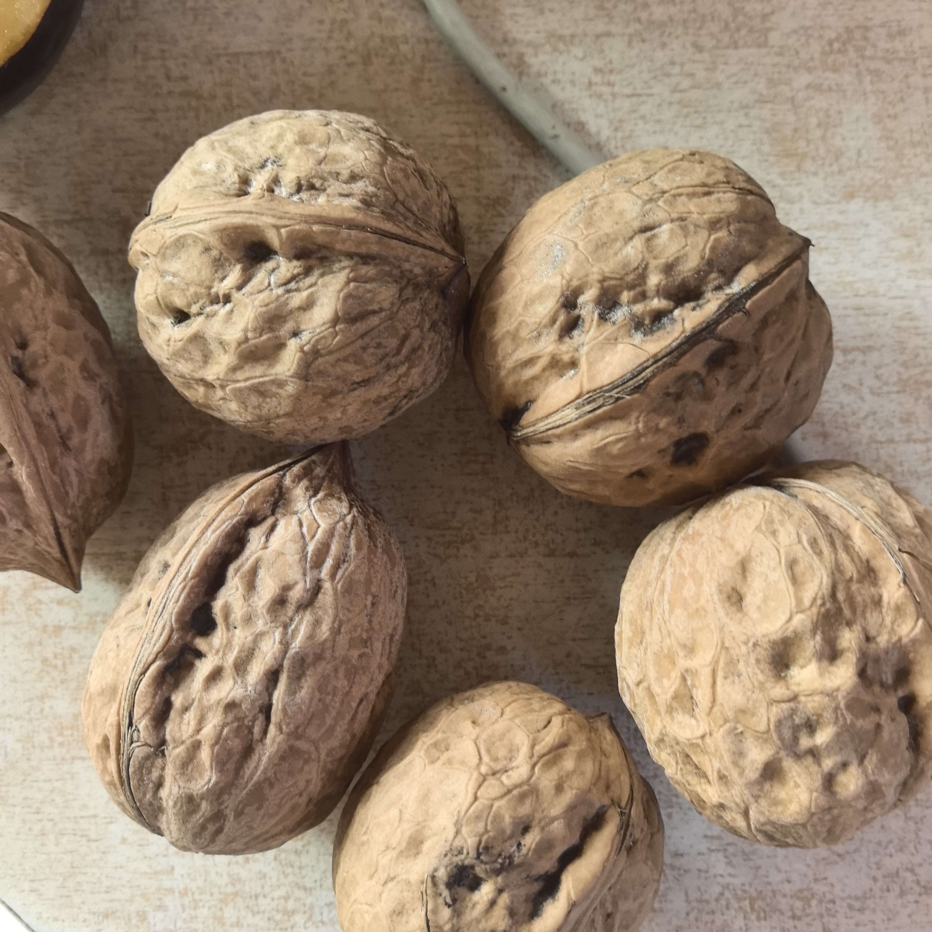 辽宁北镇25年新山核桃纯绿色无污染凹底南瓜墩薄皮1852025无添加