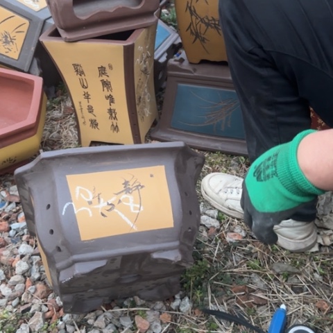 红陶紫砂花盆盆景盆景栽瑕疵