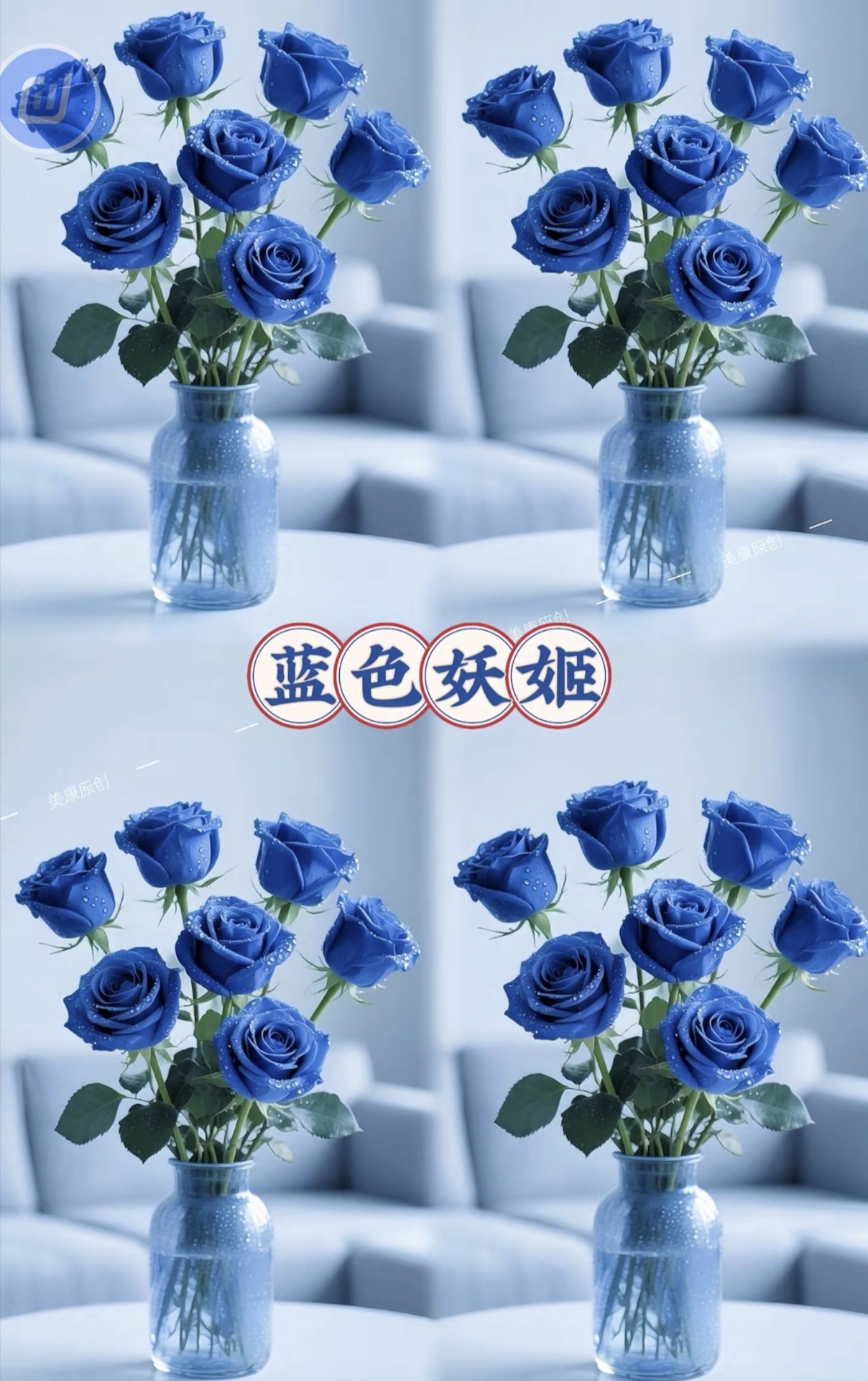 蓝色妖姬玫瑰20枝2枝防损稀有稀有