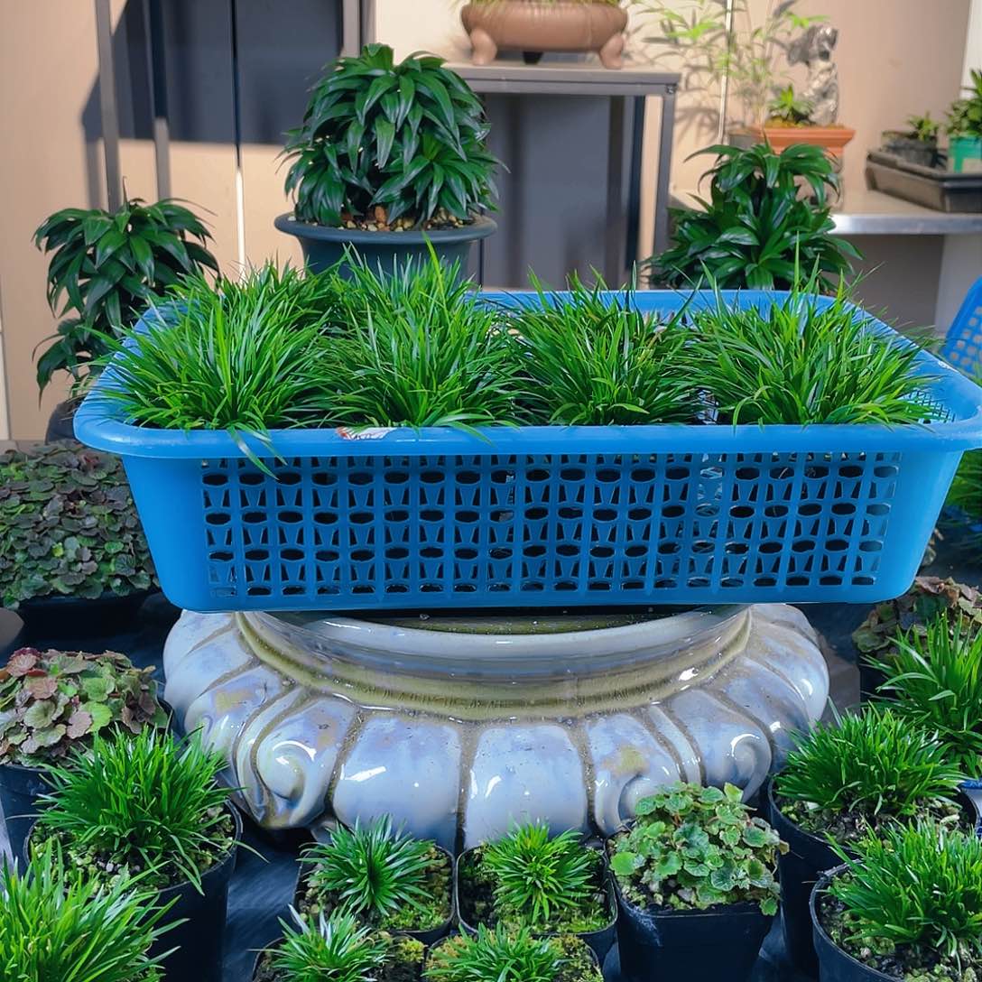 【闪购商品】完全开放