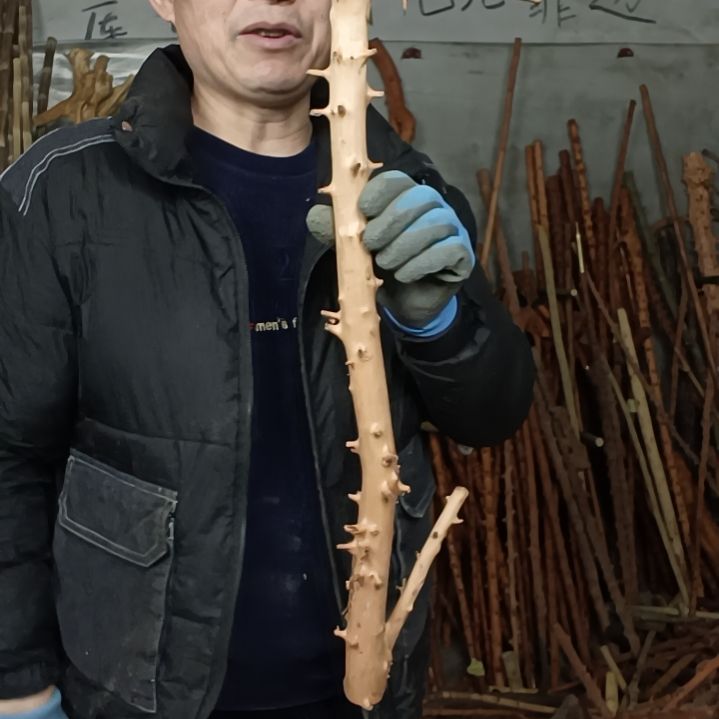 稳定木用****5贵州檬子木   铁马鞭   根艺  半成品