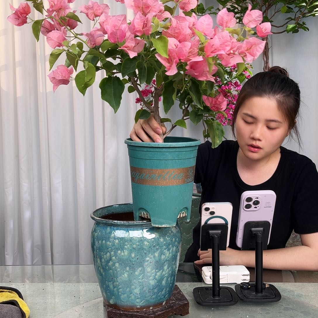 当前无花栽培后可以开花不甜西瓜中一颗