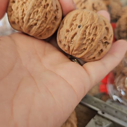 文玩核桃吊坠40铁锤