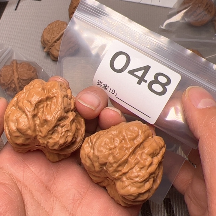 核桃蛤蟆头048号