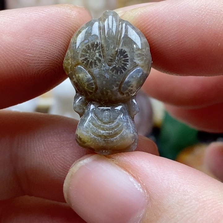 硅化珊瑚（珊瑚玉）颈饰未镶嵌小吊坠